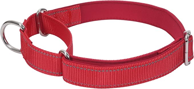 SGODA Martingale Dog Collar, Reflective Nylon Padded Dog Training Collars for Small Dogs, Red S