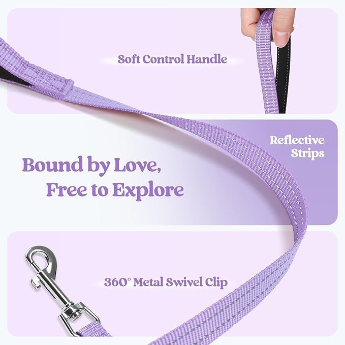 rabbitgoo Dog Harness Small Medium Sized and Leash Set, Step in Soft Light Puppy Vest, Breathable Mesh Pet Harness, Reflective for Safe Easy Walking, Light Purple L