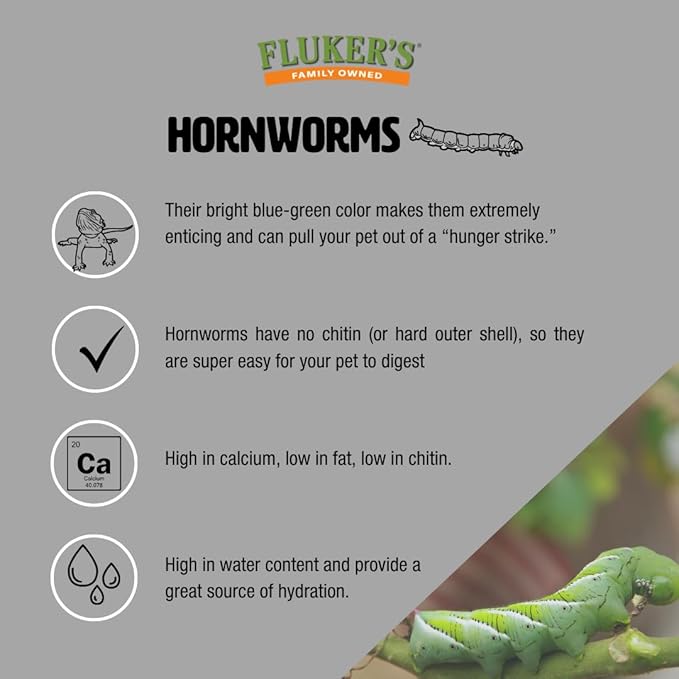 Fluker's Hornworms 24 Count - Reptile and Chicken Food