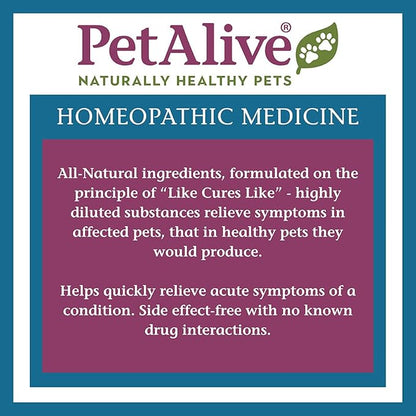 PetAlive Breathe Easy ComboPack for Pets - for Relief of Wheezing, Chest Discomfort, Colds and Respiratory Irritation