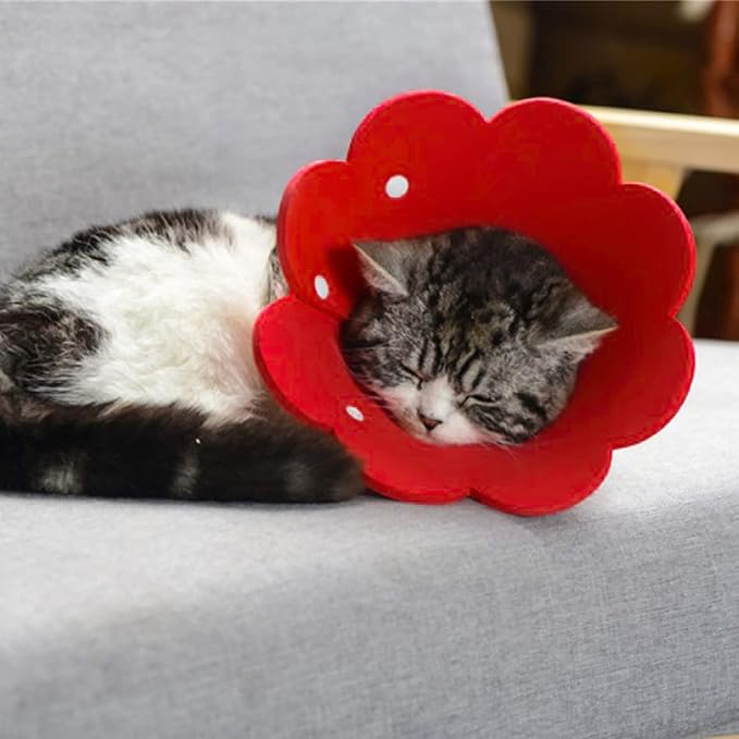 Pet Cone Collar, 3 PCS Adjustable Pet Recovery Protective Collar Cute Sunflower Shape Elizabethan Cat Cone Collar for Cats and Dogs, Red and Purple and Light Blue