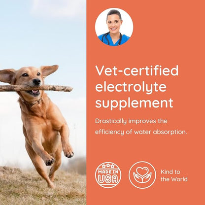 Petralyte Dog Electrolytes and Joint Supplement | Hydration Support for Dogs w/Glucosamine, Chondroitin & More | Electrolytes for Dogs with Prebiotics | for Chicken Lovers | 32 Packets