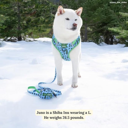 Lucy & Co. x Parks Project Feel the Earth Breath Dog Leash, Durable Matching Dog Lead with Heavy Duty Hardware, Large