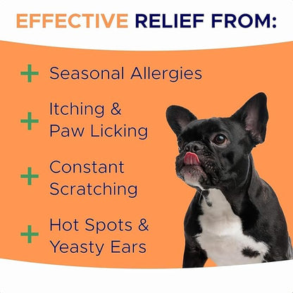 Dog Allergy Relief Chews — Anti-Itch Skin & Coat Supplement: No Fillers, Just Flavor - Itchy Skin Relief Treatment w/Omega 3 Fish Oil - Itching&Paw Licking - Dry Skin&Hot Spots - BBQ Chicken