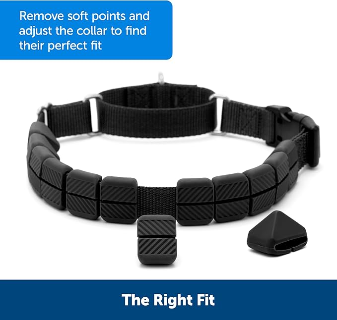PetSafe Soft Point Training Collar - Comfortable No-Pull Adjustable Quick-Release Collar with Removable Soft Rubber Points - Pain-Free Training for Better Leash Manners - Medium - Black