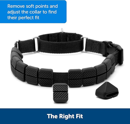 PetSafe Soft Point Training Collar - Comfortable No-Pull Adjustable Quick-Release Collar with Removable Soft Rubber Points - Pain-Free Training for Better Leash Manners - Medium - Black