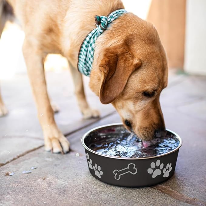 Loving Pets Bella Dog Bowls- Stainless Steel Dog & Cat Bowls - Spill Proof Dog Food Bowl, Cat Bowl, Puppy Essentials & Pet Supplies Great for Home & Travel (X-Large 65-100lbs, Espresso)
