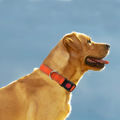 Taglory 16-24" Dog Collar & 4 FT Leash Set, Reflective, Adjustable, Safety Locking Buckle for Large Dogs