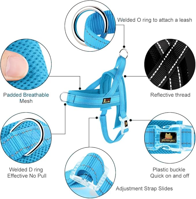 Plutus Pet No Pull Dog Harness with Breathable Mesh Padded, Adjustable Reflective Escape Proof Dog Harness, Quick Fit Dog Vest Harness for Small Medium Large Dogs(S, Cyan)