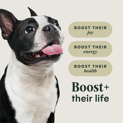 Instinct RawBoost Small Breed, Natural Dry Dog Food with FreshDried Raw, High Protein, Grain-Free Recipe - Real Beef, 10 lb. Bag