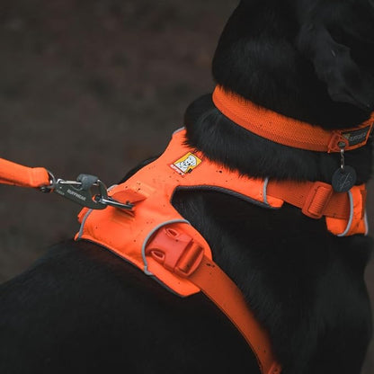 Ruffwear, Front Range Dog Harness, Reflective Soft Padded Everyday Harness with Dual Leash Clips, Adjustable and Lightweight Fit for Training or Walking for All Dogs, Blaze Orange, Large/X-Large