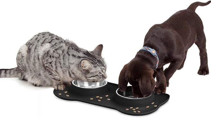 AsFrost Dog Food Bowls Stainless Steel & Water Dish with No-Spill and Non-Skid, Feeder Bowls with Dog Food Dish for Small Medium Large Size,Dogs,Cats,Puppy Pets, Black, 12oz