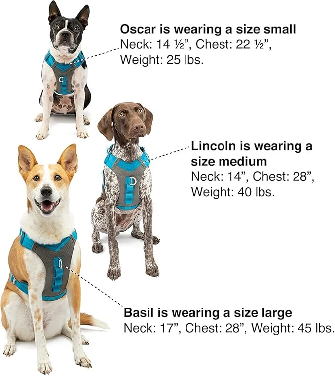 Kurgo Journey Air Dog Harness - Secure Fit for Active Dogs - Padded Chest - Lightweight Ripstop Fabric - Breathable Mesh - Reflective Trim - Back Assist Handle - Coral - X-Large