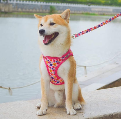 Moonpet Step in Dog Harness Leash Set- All Weather Reflective No-Pull Floral Pattern Padded Mesh Vest Harness for Cats Puppy Extra-Small Small Medium Large Dogs - Romantic Sakura - XL