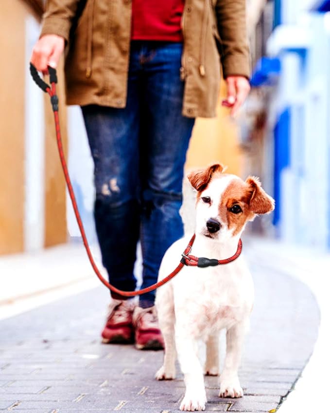 TagME 6ft Slip Dog Lead, No Pull Reflective Training Leash with Padded Handle, Professional Rope P-Leash for Small Medium Large Dogs, Heavy Duty Correction Lead for Walking & Training (Red)