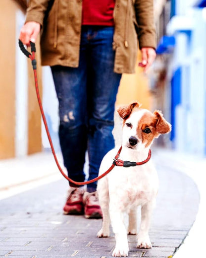 TagME 6ft Slip Dog Lead, No Pull Reflective Training Leash with Padded Handle, Professional Rope P-Leash for Small Medium Large Dogs, Heavy Duty Correction Lead for Walking & Training (Red)