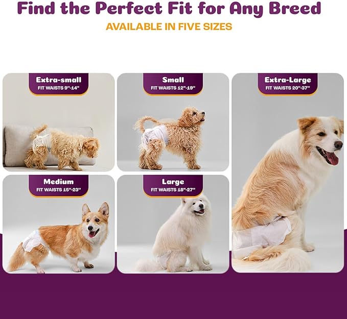 Inspire Pet Care Dog Diapers Female Dogs | Bulk Value Doggie Incontinence, Accidents, for Heat, Pee or Period and Housebreaking (Medium (96 Count))