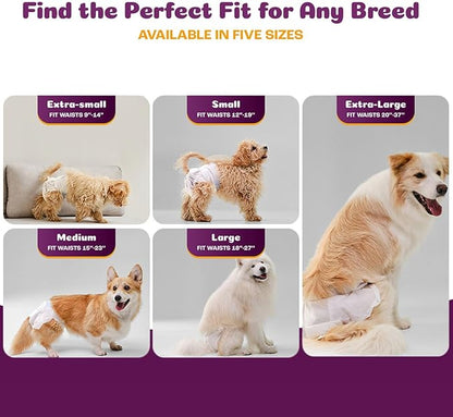 Inspire Pet Care Dog Diapers Female Dogs | Bulk Value Doggie Incontinence, Accidents, for Heat, Pee or Period and Housebreaking (X-Small (50 Count))