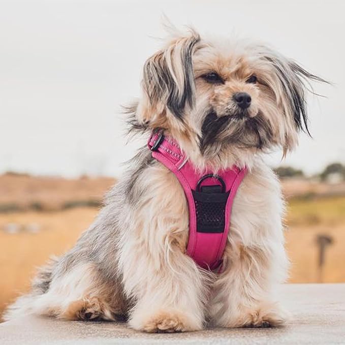Voyager Dog Harness Dual Leash Attachment No-Pull Control Adjustable Soft but Strong Pet Harness for Medium and Large Dogs with 3M Reflective Technology, Fuchsia Nylon, M (Chest: 20-25")