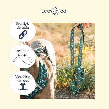 Lucy & Co. x Parks Project Power to the Parks Dog Leash, Durable Matching Dog Lead with Heavy Duty Hardware, Large