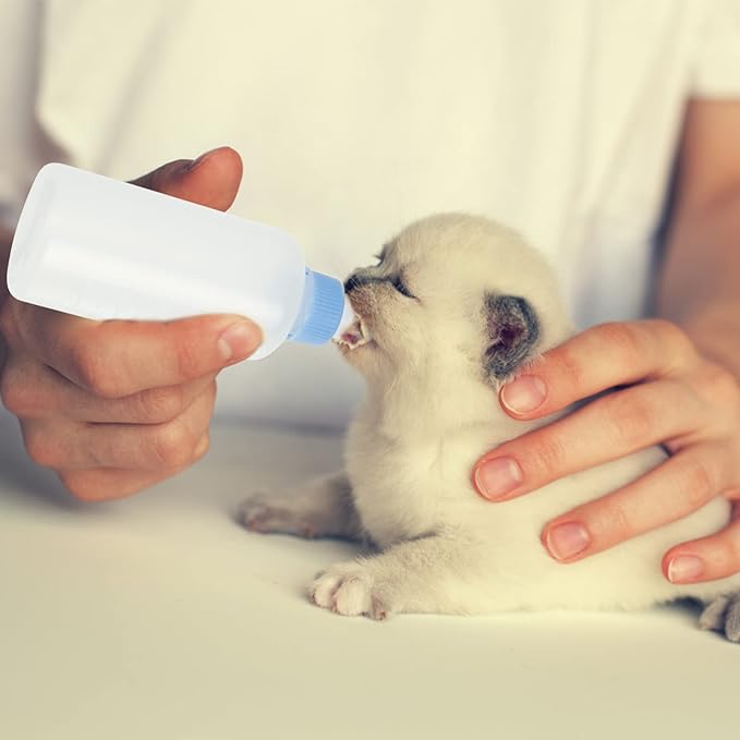 Pet Cat Feeders 3pcs Kitten Nursing Bottle Puppy Milk Bottle Pet Water Feeders Blue