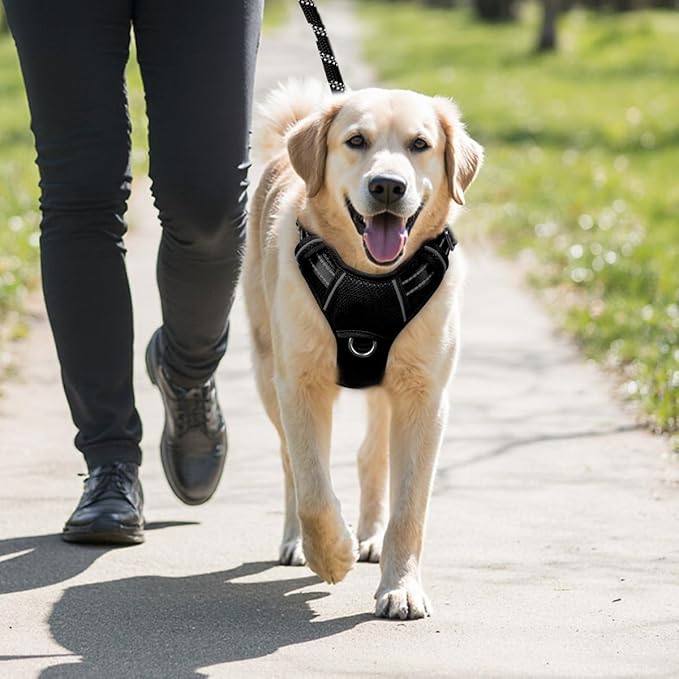 BARKBAY No Pull Dog Harness Large Reflective Dog Harness with Front Clip and Easy Control Handle for Walking Training Running with ID tag Pocket(Black,XL)