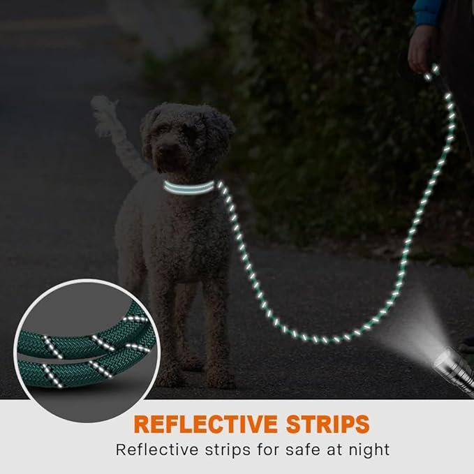 Taglory Rope Dog Leash 4 FT with Comfortable Padded Handle, Highly Reflective Threads Leash and Anti-Tangle Clip for Walking Small Dogs, 3/8 inch, Turquoise
