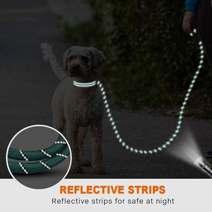 Taglory Rope Dog Leash 5 FT with Comfortable Padded Handle, Highly Reflective Threads Leash and Anti-Tangle Clip for Walking Small Dogs, 3/8 inch, Turquoise