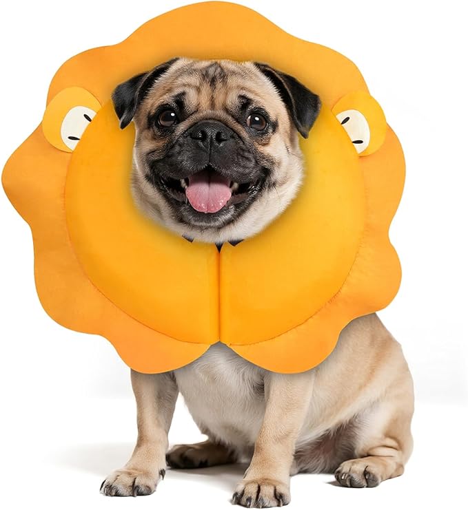 MIDOG Inflatable Dog Cone Collar, Lion Mane Soft Dog Cone Alternative After Surgery with 40% Extra Protection Area Anti-Lick, Adjustable Donut Recovery Collar for Large Medium Small Dogs (Lion, M)