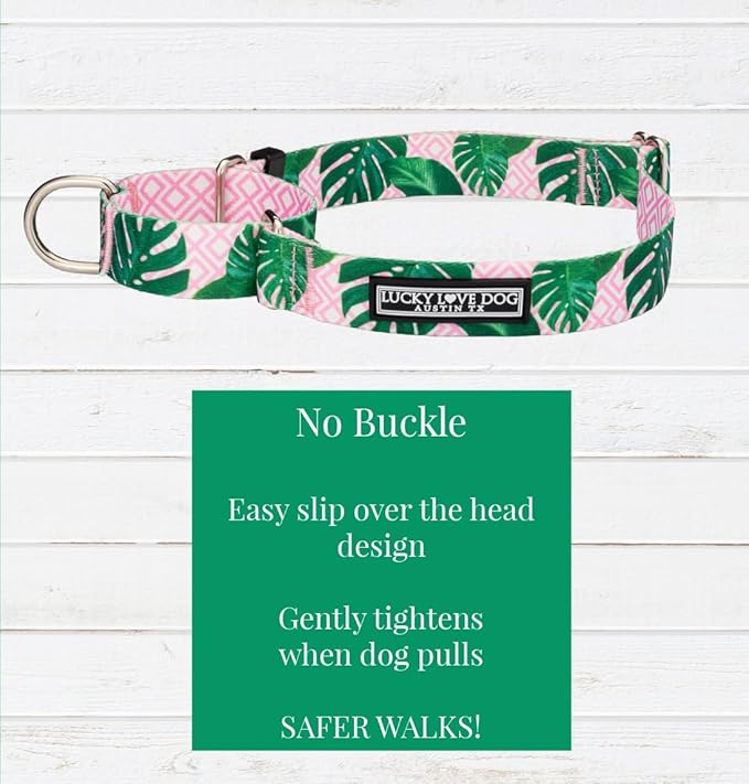 Lucky Love Dog Martingale Dog Collar - Adjustable, No-Slip, Comfortable, Durable, Soft Webbing & Stylish Patterned Collar for Male and Female Dogs Ideal for Training & Walking - Laguna, Medium