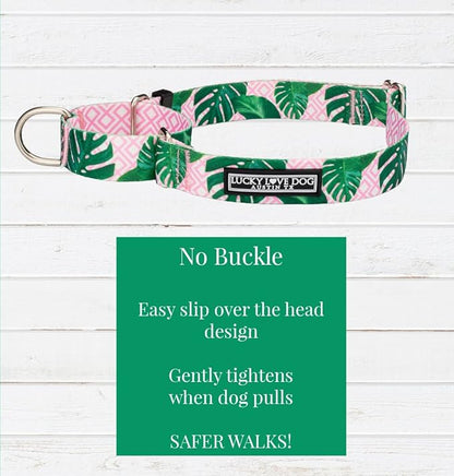 Lucky Love Dog Martingale Dog Collar - Adjustable, No-Slip, Comfortable, Durable, Soft Webbing & Stylish Patterned Collar for Male and Female Dogs Ideal for Training & Walking - Laguna, Medium