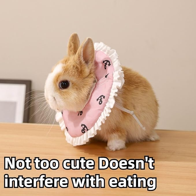Adjustable Guinea Pig Cone Pet Recovery Collar, Soft Pet Recovery Collar for Rabbits/Chinchilla/Kittens After Surgery Wound Healing,Elizabeth Neck E-Collar (M)