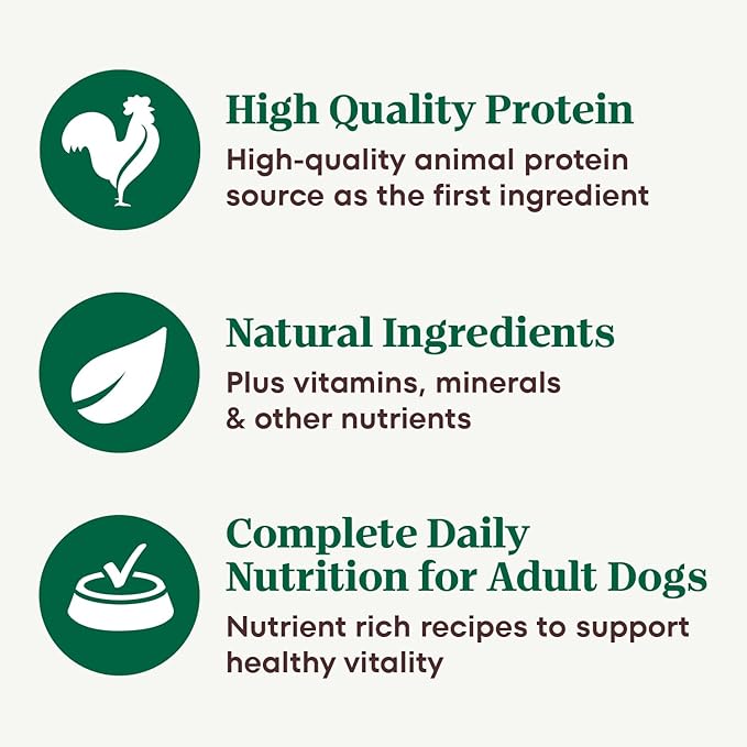 Nutro Hearty Stew Adult Natural Grain Free Wet Dog Food Cuts in Gravy Chicken Beef Variety Pack, 12.5 oz Cans (12 Count, Pack of 2)