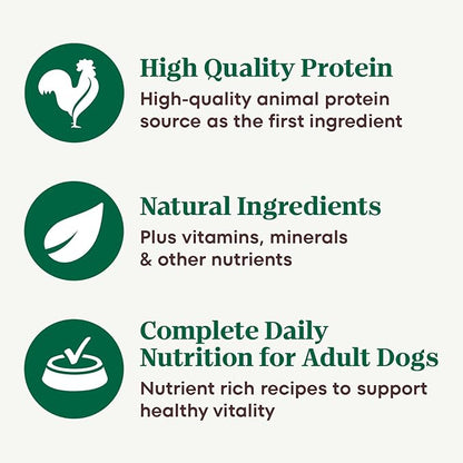 Nutro Hearty Stew Canned Wet Dog Food, Natural Grain Free Dog Food Wet Cuts in Gravy Tender Chicken with Carrot & Pea Stew, 12.5 oz. Cans (12 Count, Pack of 1)