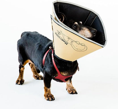 All Four Paws Comfy Cone Pet Cone for Dogs, Cats, Small-Long, Tan - Comfortable Soft Dog Cone Collar Alternative for After Surgery, Wound Care, Spay, Neuter - Dog and Cat Recovery Elizabethan-Collar