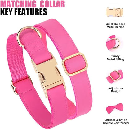 PET ARTIST Soft PU Leather Dog Collar and Leash Set, Bright & Stylish 5FT PU Leather Leash and Collar Set, Durable Pet Collars with Quick Release Metal Buckle for Large Dogs,Hot Pink,L(16-27")
