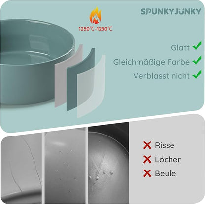 SPUNKYJUNKY 60 OZ Ceramic Dog and Cat Bowl, Modern Cute Weighted Food Water Bowl for Replacement Light Green (1 Pack)