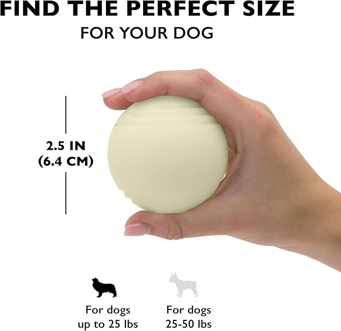 Chew King 2 Piece Glowing Fetch Ball