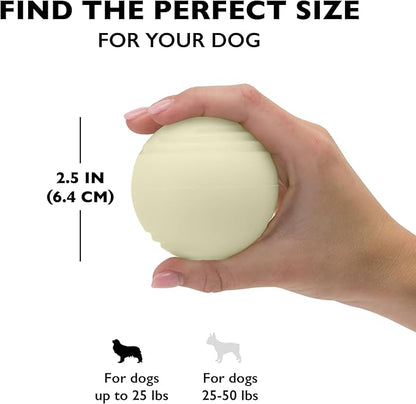 Chew King 2 Piece Glowing Fetch Ball