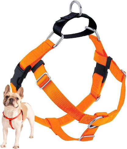 2 Hounds Design Freedom No Pull Dog Harness, Adjustable Harness, Easy Walking & Comfortable Control, Fits Small, Medium & Large Dogs, Solid Colors, Made in USA, 5/8" SM, Neon Organge
