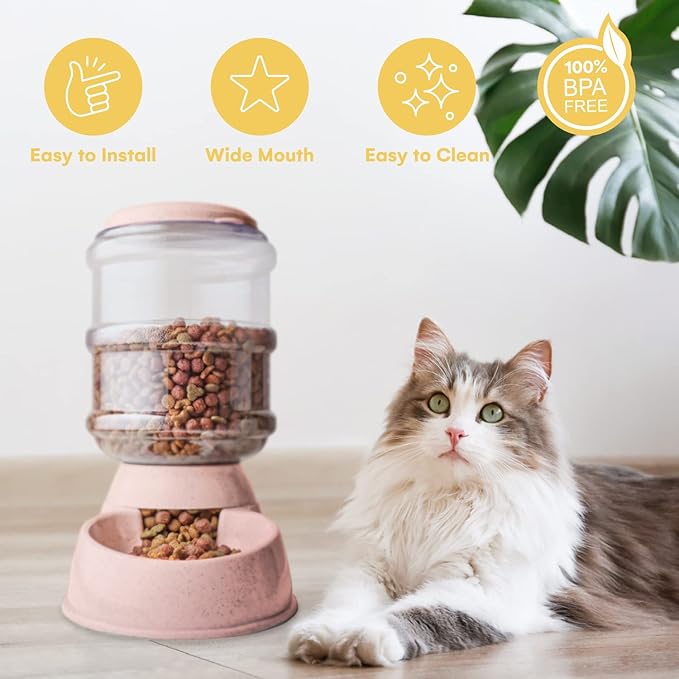 Noa Store Automatic Pet Feeder - 1 & 3 Gallon Cat Water and Food Dispenser, H2O, BPA-Free