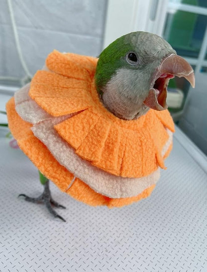 Adjustable Parrot Cone Collar, Safe and Practical Cotton Collar to Prevent Bites and Licking Wounds, to Help heal (2M)