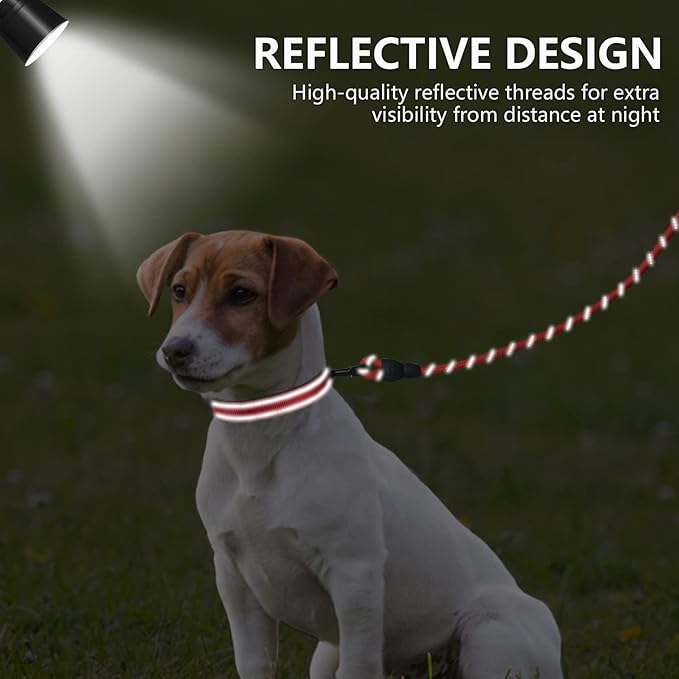 Dynmeow Reflective Dog Collar and Leash Set, 6FT Strong Climbing Rope Leash with Padded Handle, Adjustable Pet Collar with Soft Neoprene Padding for Puppy Small Dogs, Red, Xs