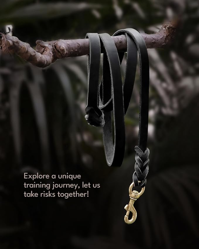 FAIRWIN Leather Dog Leash 6 Foot - Braided Military Grade Heavy Duty Dog Leash for Large Medium Small Dogs Training and Walking(Black, L:3/4" x 6ft)