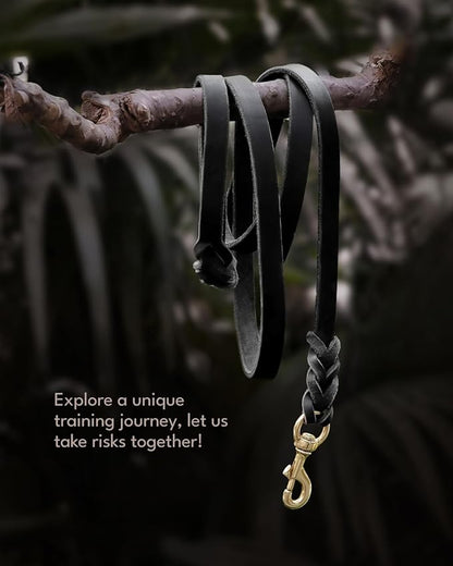 FAIRWIN Leather Dog Leash 6 Foot - Braided Military Grade Heavy Duty Dog Leash for Large Medium Small Dogs Training and Walking(Black, L:3/4" x 6ft)