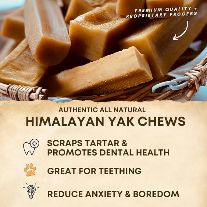 Back 40 Dogs Yak Cheese Himayalan Dog Chews – Long-Lasting Natural Chews for Aggressive Chewers – 2-Ingredient, High Protein, Odorless, Dental Health Treats for Dogs (Large, 8 Pack)