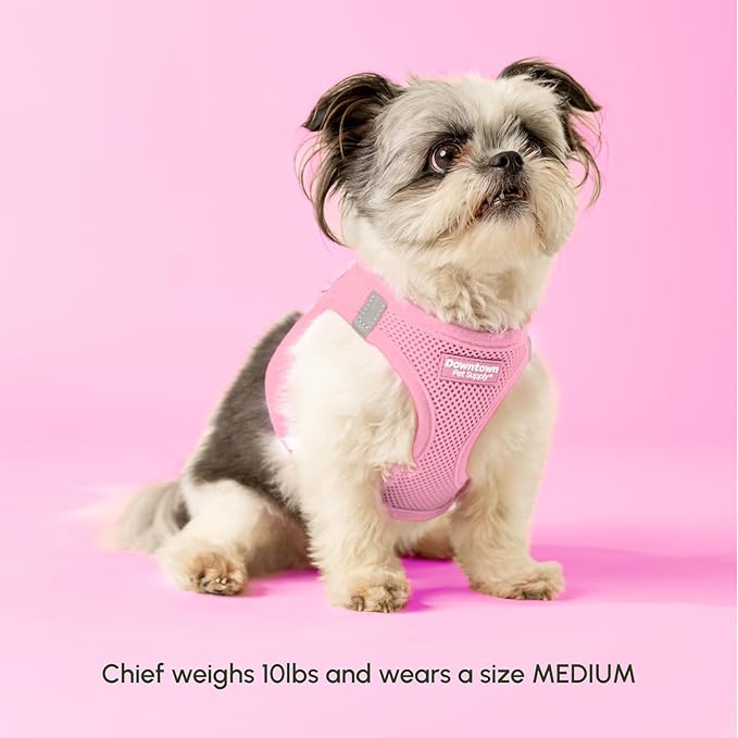 Downtown Pet Supply Step-in Dog Harness – No Pull, Adjustable Padded Mesh with Reflective Trim, Secure Buckle Strap – Comfortable & Breathable Small Dog Harness, Small, Baby Pink