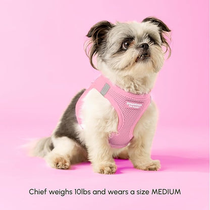 Downtown Pet Supply Step in Dog Harness for Large Dogs - Adjustable, Escape Proof Dog Harness with Reflective Trim - All-Weather, Fast-Drying Padded Mesh Fabric - Baby Pink, L