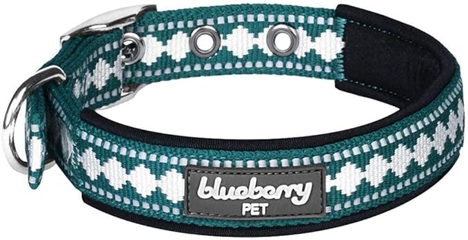 Blueberry Pet Reflective Jacquard Dog Collar with Neoprene Padding & Metal Buckle | Soft & Adjustable Safety Collar - Teal Blue