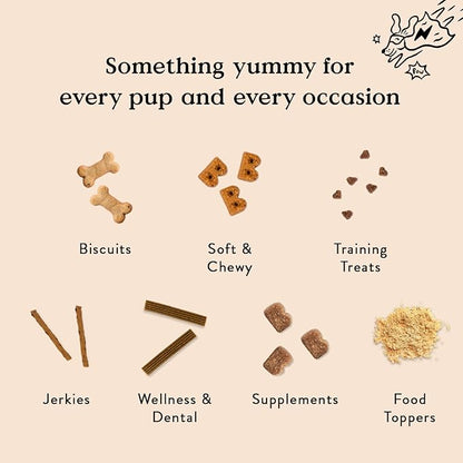 Bocce's Bakery by The Fire Assorted Treat Bundle for Dogs, Wheat-Free Everyday Dog Treats, Made with Real Ingredients, Baked in The USA, Natural Soft & Chewy Cookies, 6 oz Each